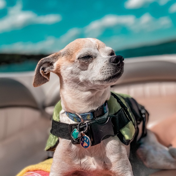 Meet your Posher, Christa - Picture 1 of 1